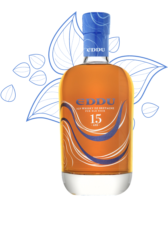 Eddu 15 ans